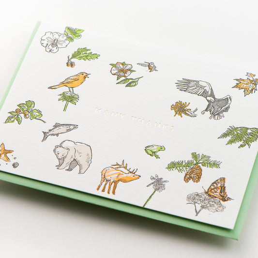 Card: Many Thanks Flora & Fauna