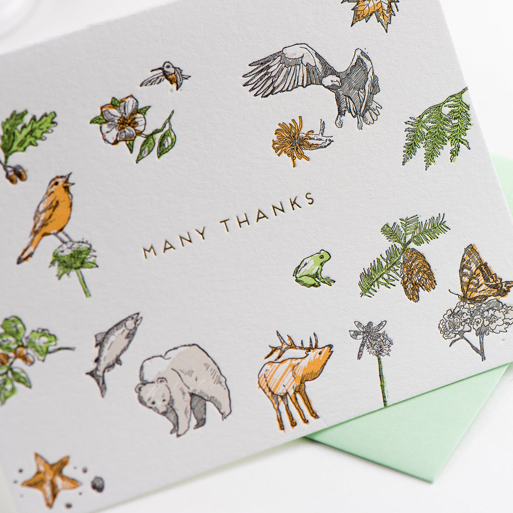 Card: Many Thanks Flora & Fauna
