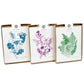 Card: Saskatoon Berry Thank you Greeting Card - Foraging Series