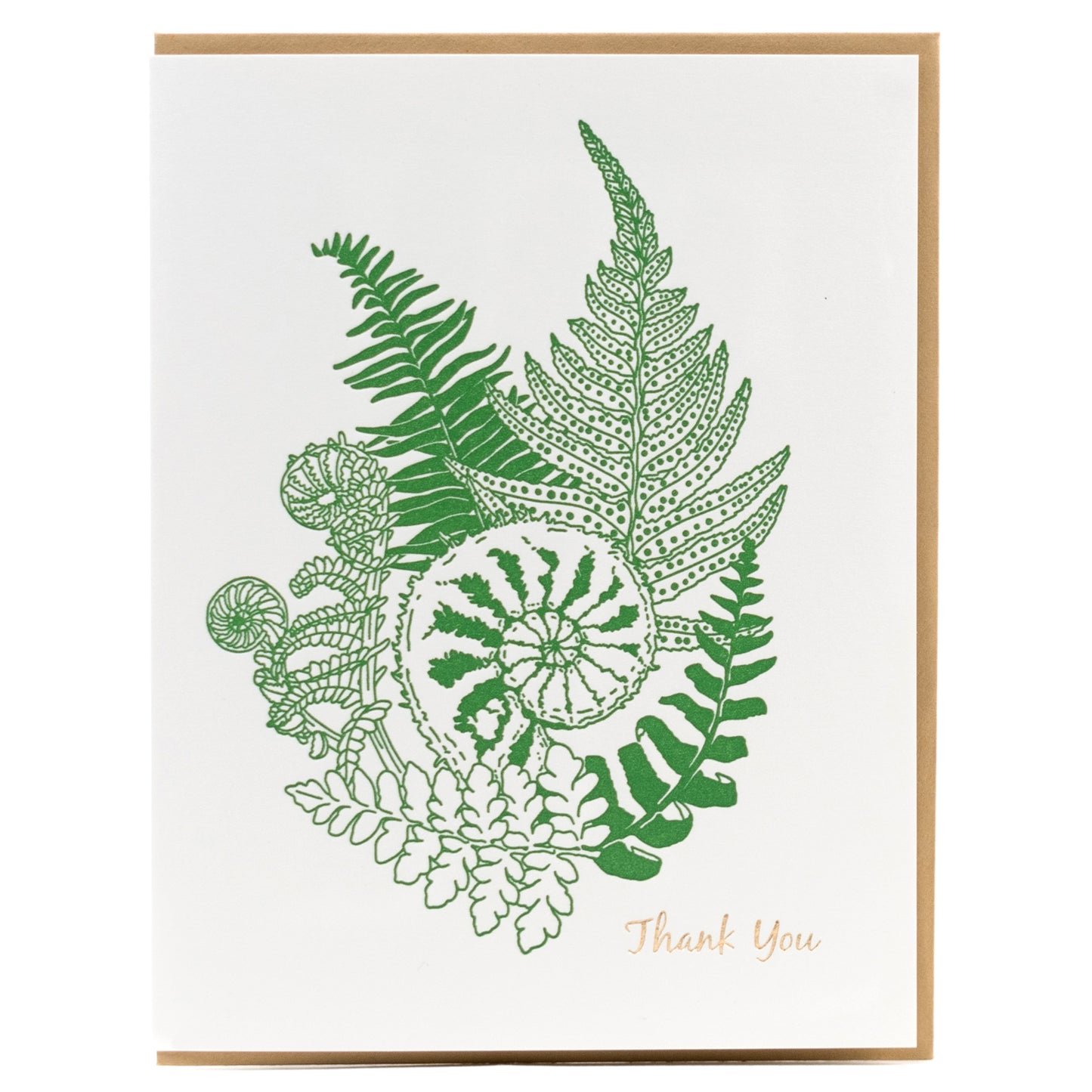 Card: Fiddlehead Fern Thank you Greeting Card - Foraging Series