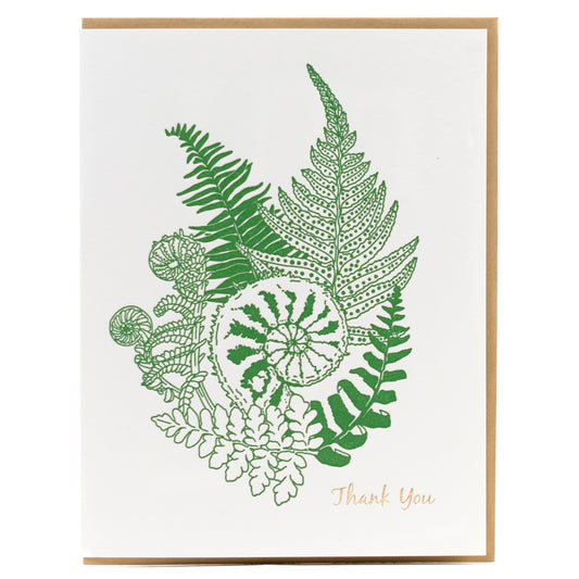 Card: Fiddlehead Fern Thank you Greeting Card - Foraging Series