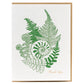 Card: Fiddlehead Fern Thank you Greeting Card - Foraging Series