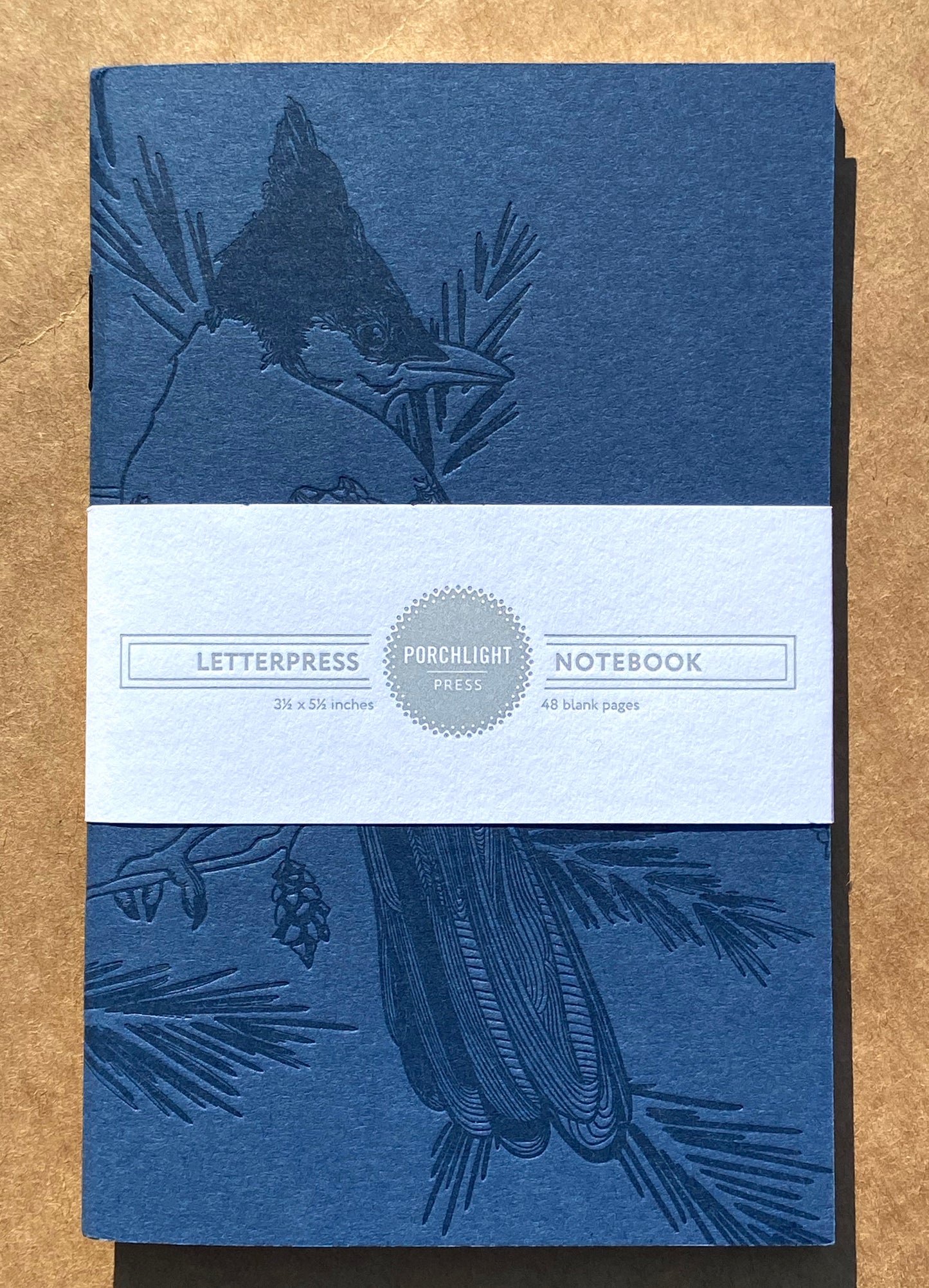 Notebook: Monochromatic Birds - Steller's Jay Large Notebook