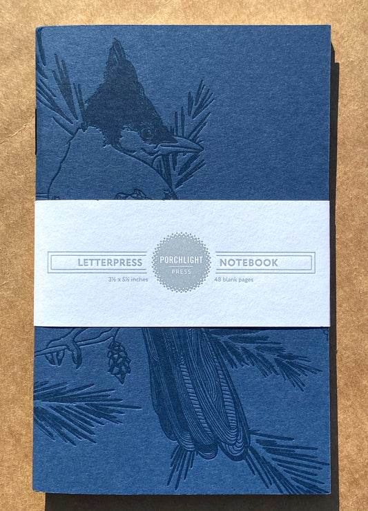 Notebook: Monochromatic Birds - Steller's Jay Large Notebook