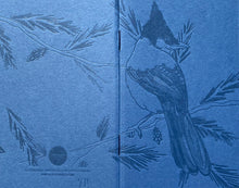 Notebook: Blue Jay Mono Birds Large