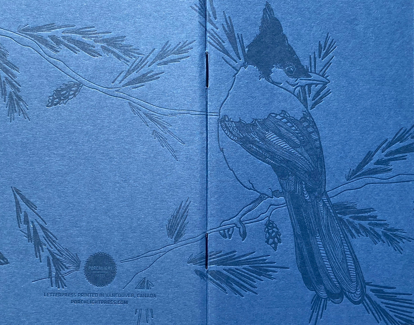 Notebook: Monochromatic Birds - Steller's Jay Large Notebook