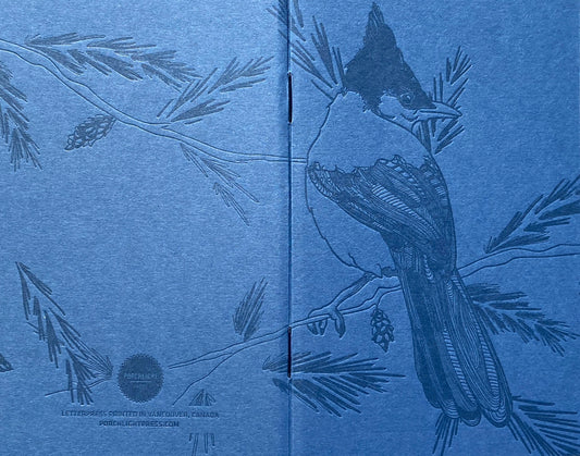 Notebook: Monochromatic Birds - Steller's Jay Large Notebook