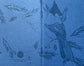 Notebook: Monochromatic Birds - Steller's Jay Large Notebook