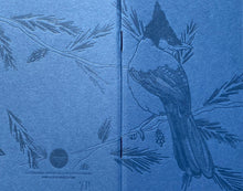 Notebook: Monochromatic Birds (Set of 3)