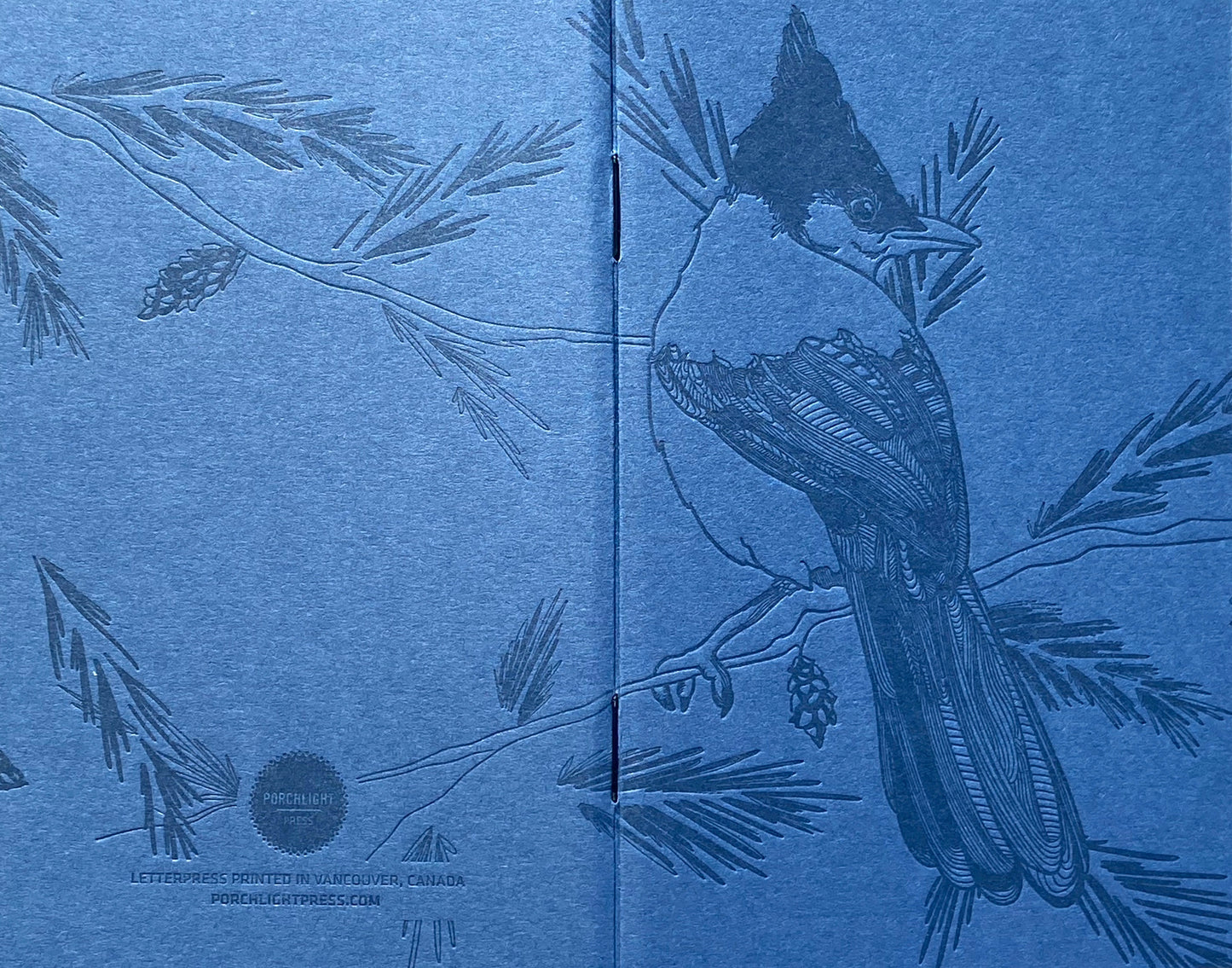 Notebook: Monochromatic Birds - Pocket Notebooks (Set of 3)