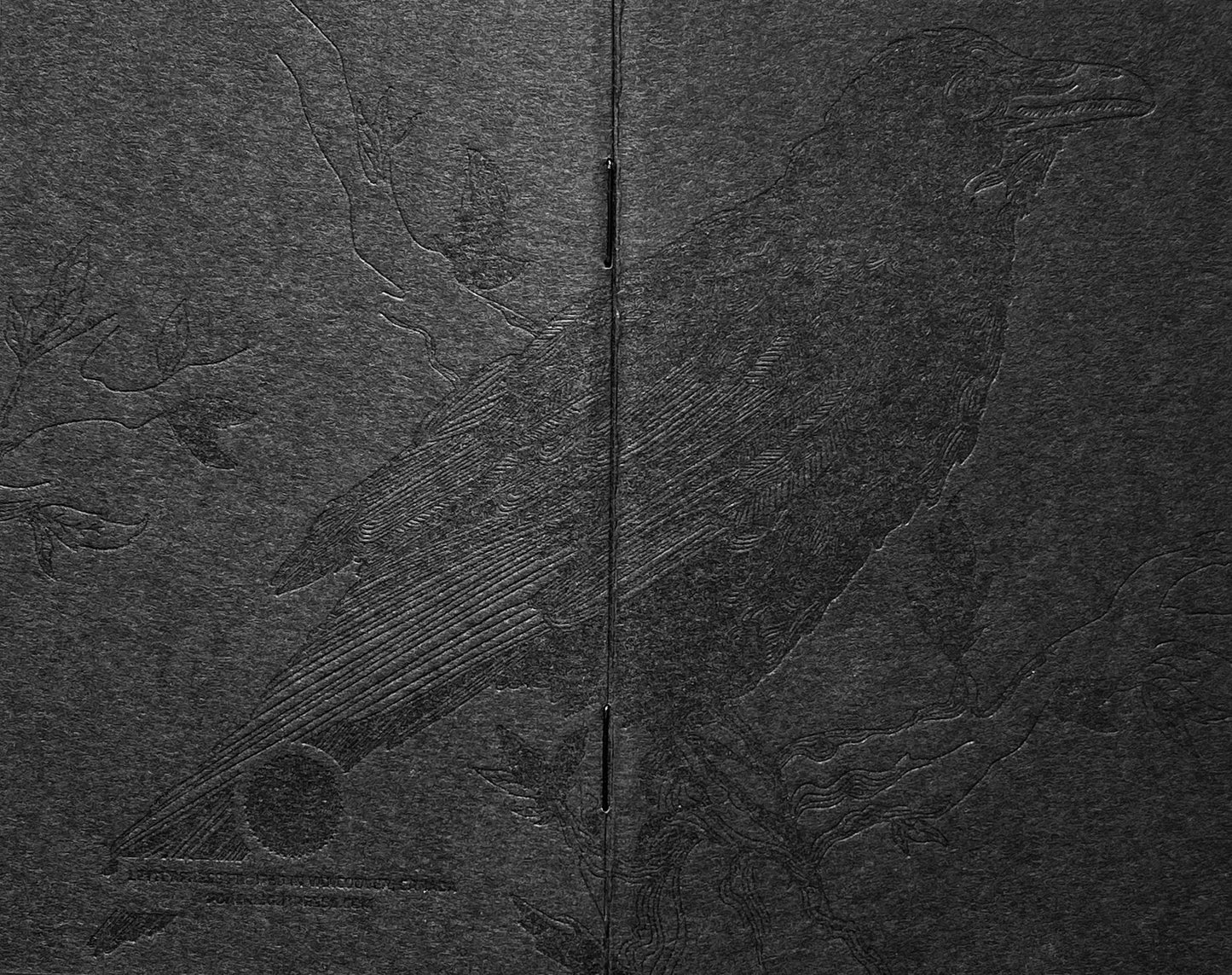 Notebook: Monochromatic Birds - Raven Pocket Notebook
