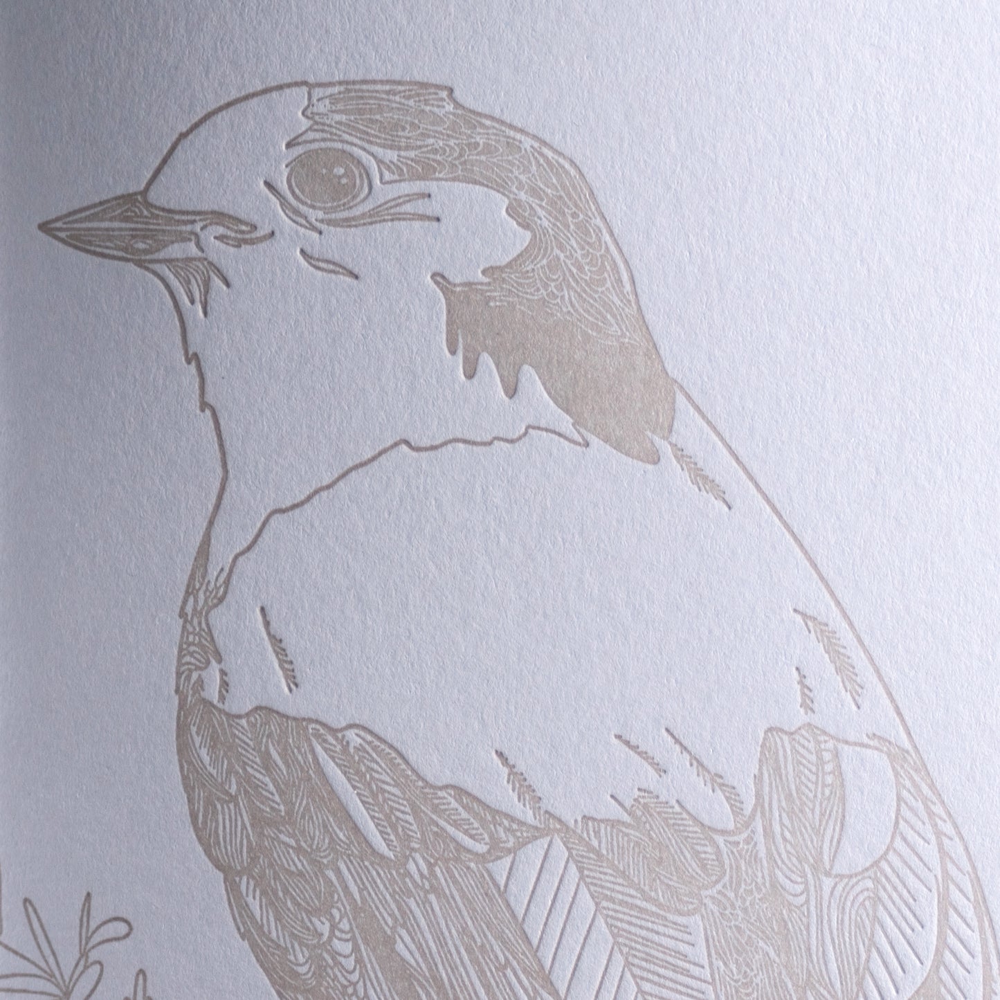Notebook: Monochromatic Birds - Whiskey-Jack Large Notebook
