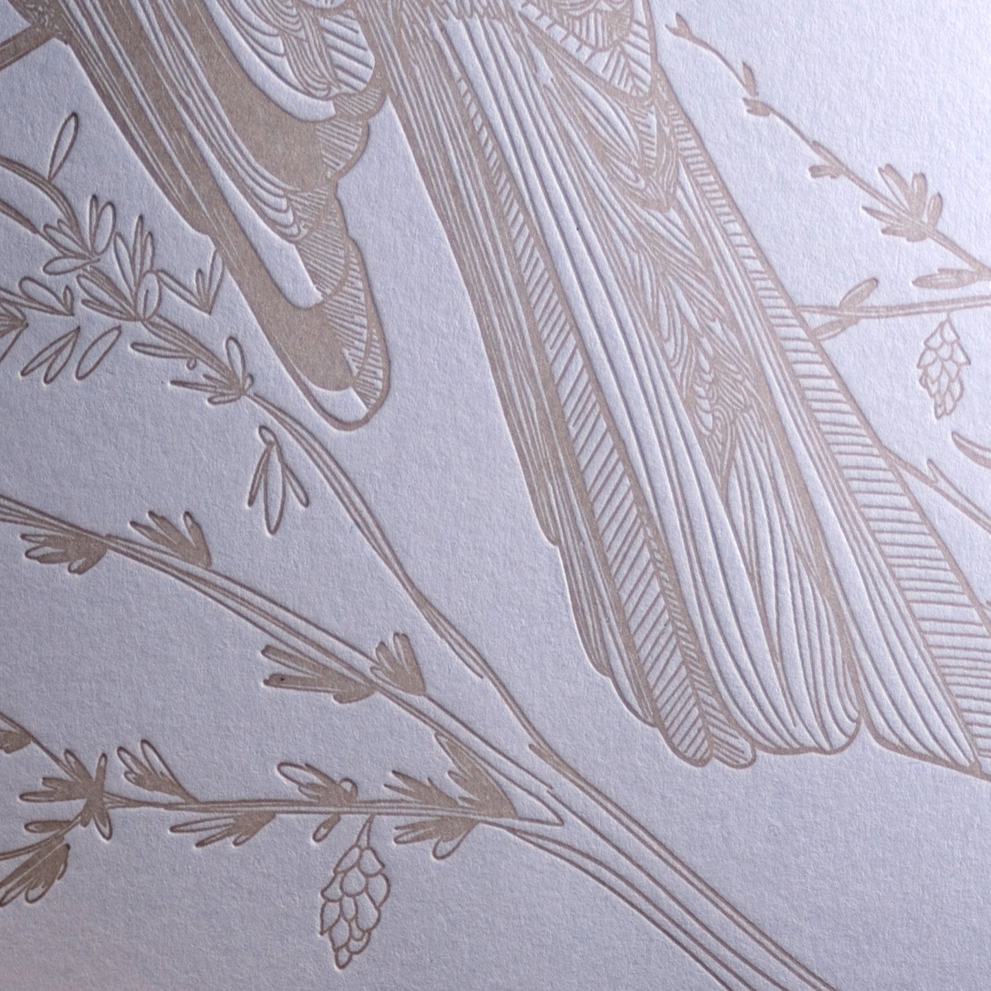 Notebook: Monochromatic Birds - Whiskey-Jack Large Notebook