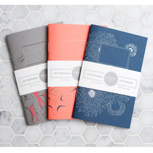 Notebook: Aquatic Series - Sea Anemone Pocket Notebook