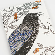 Notebook: Nature Birds_Raven_Small