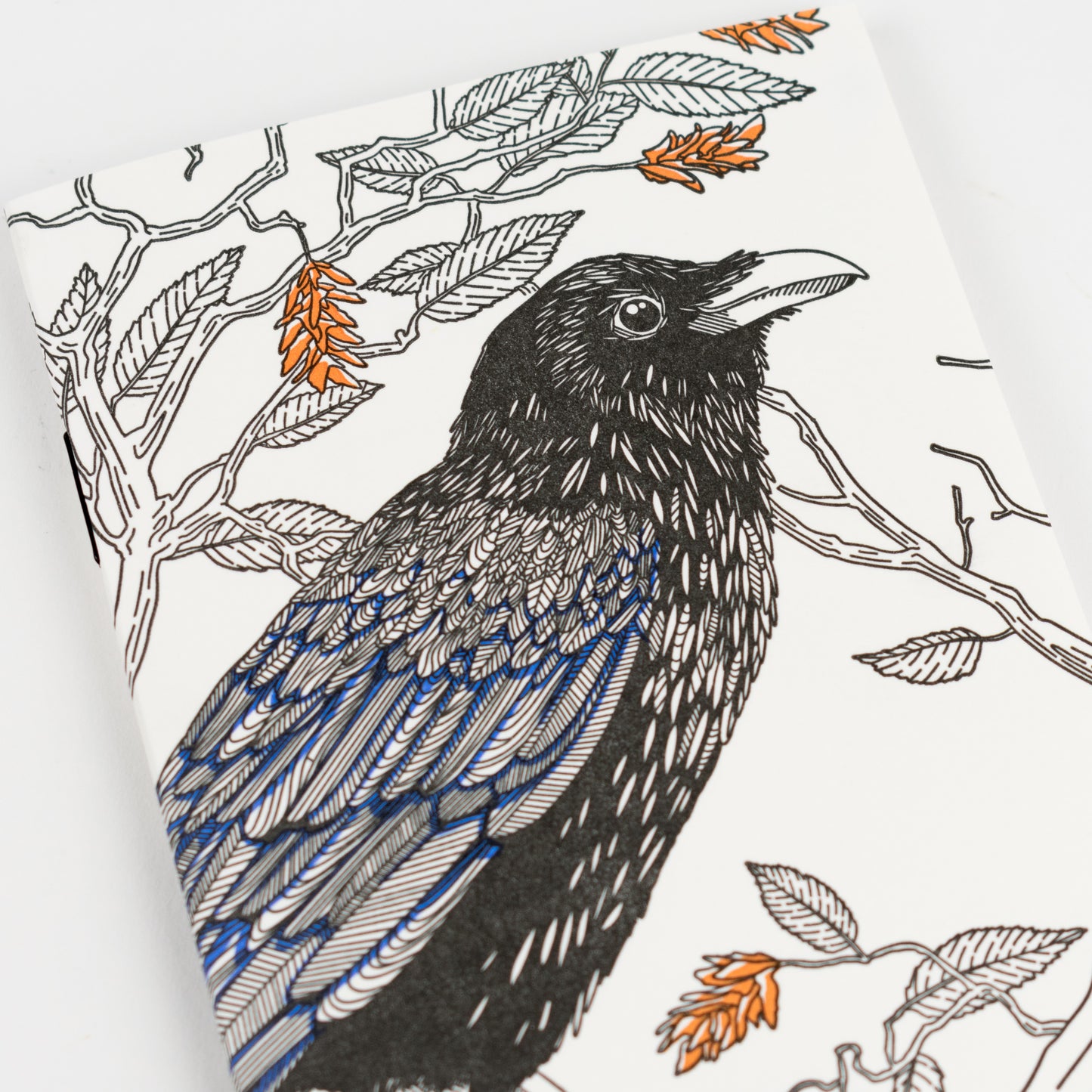 Notebook: Nature Birds - Raven Pocket Notebook