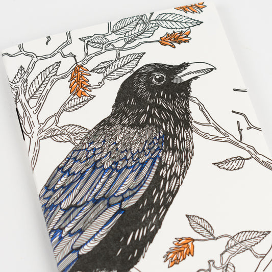 Notebook: Nature Birds - Raven Pocket Notebook