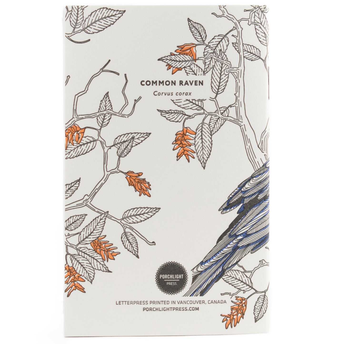 Notebook: Nature Birds - Raven Pocket Notebook