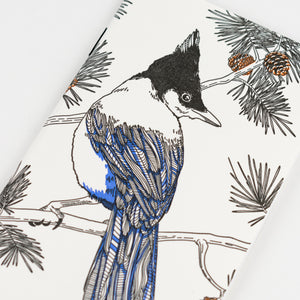 Notebook: Nature Birds - Steller's Jay Pocket Notebook