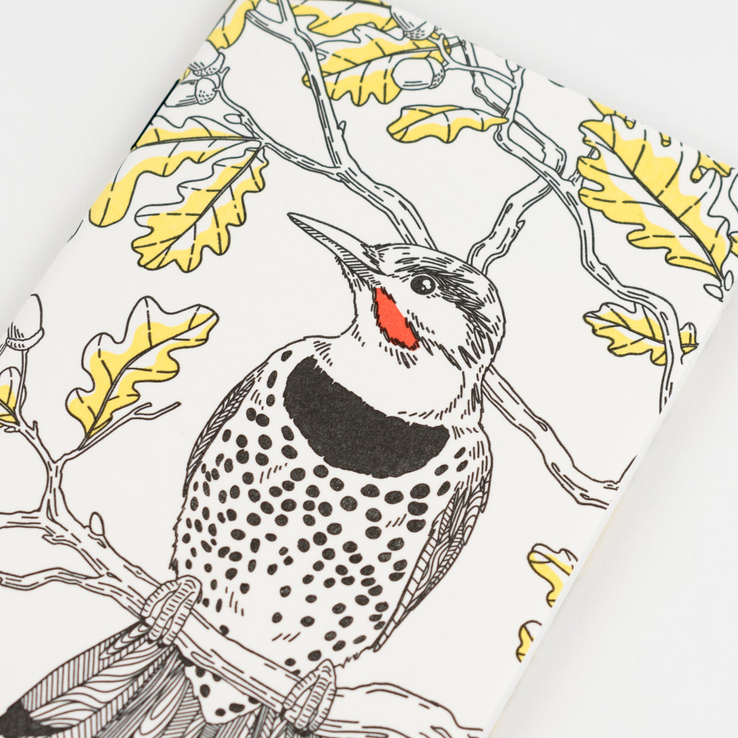 Notebook: Nature Birds - Northern Flicker  Pocket Notebook