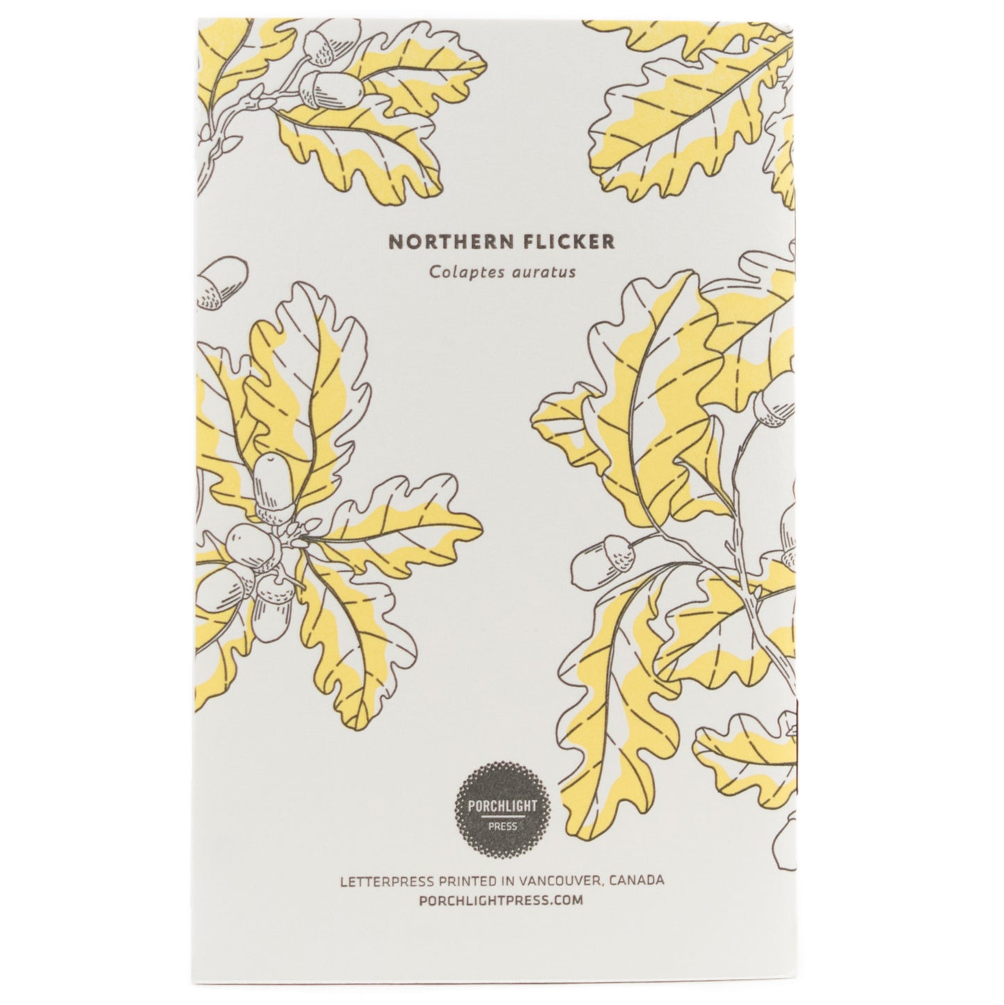 Notebook: Nature Birds - Northern Flicker  Pocket Notebook