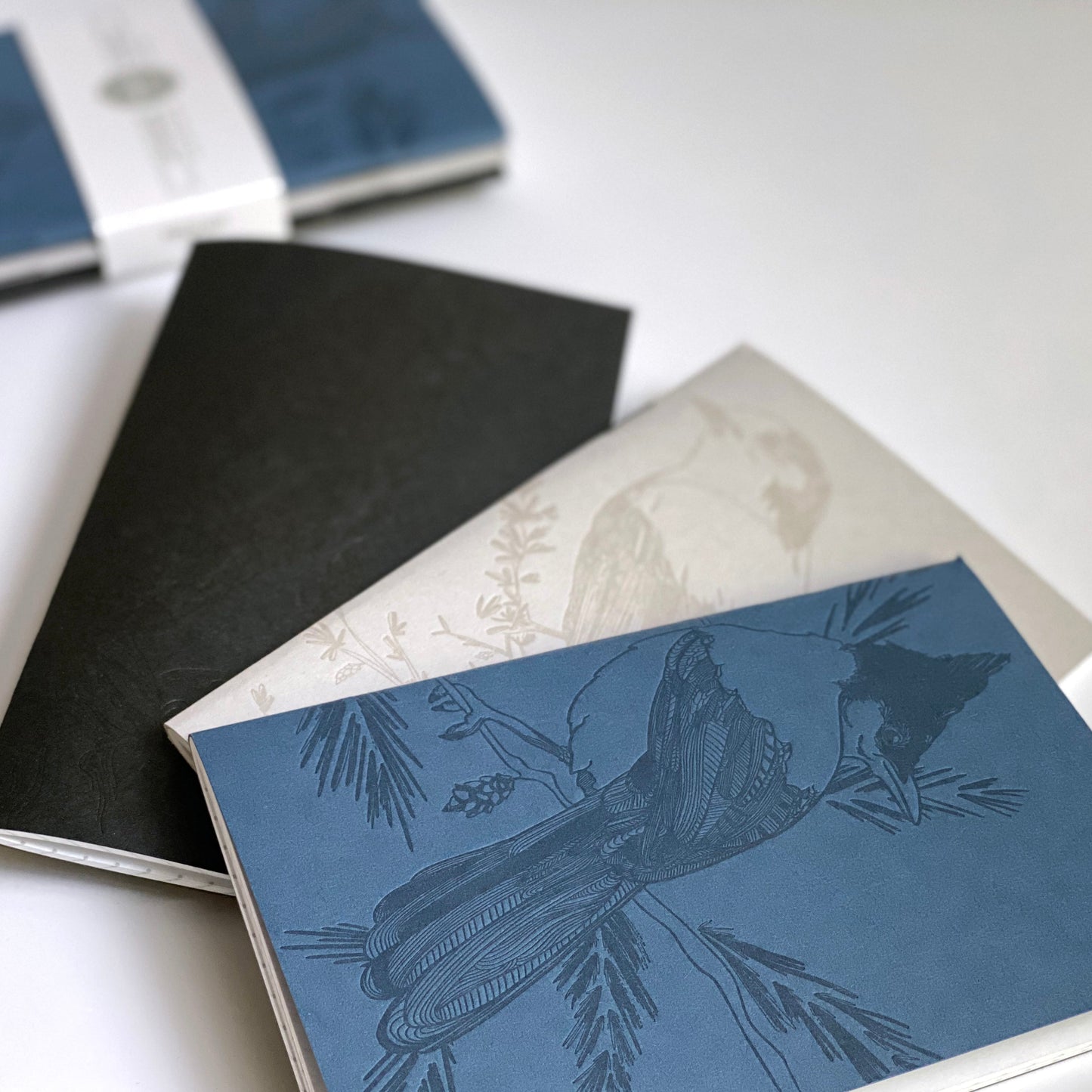 Notebook: Monochromatic Birds - Pocket Notebooks (Set of 3)