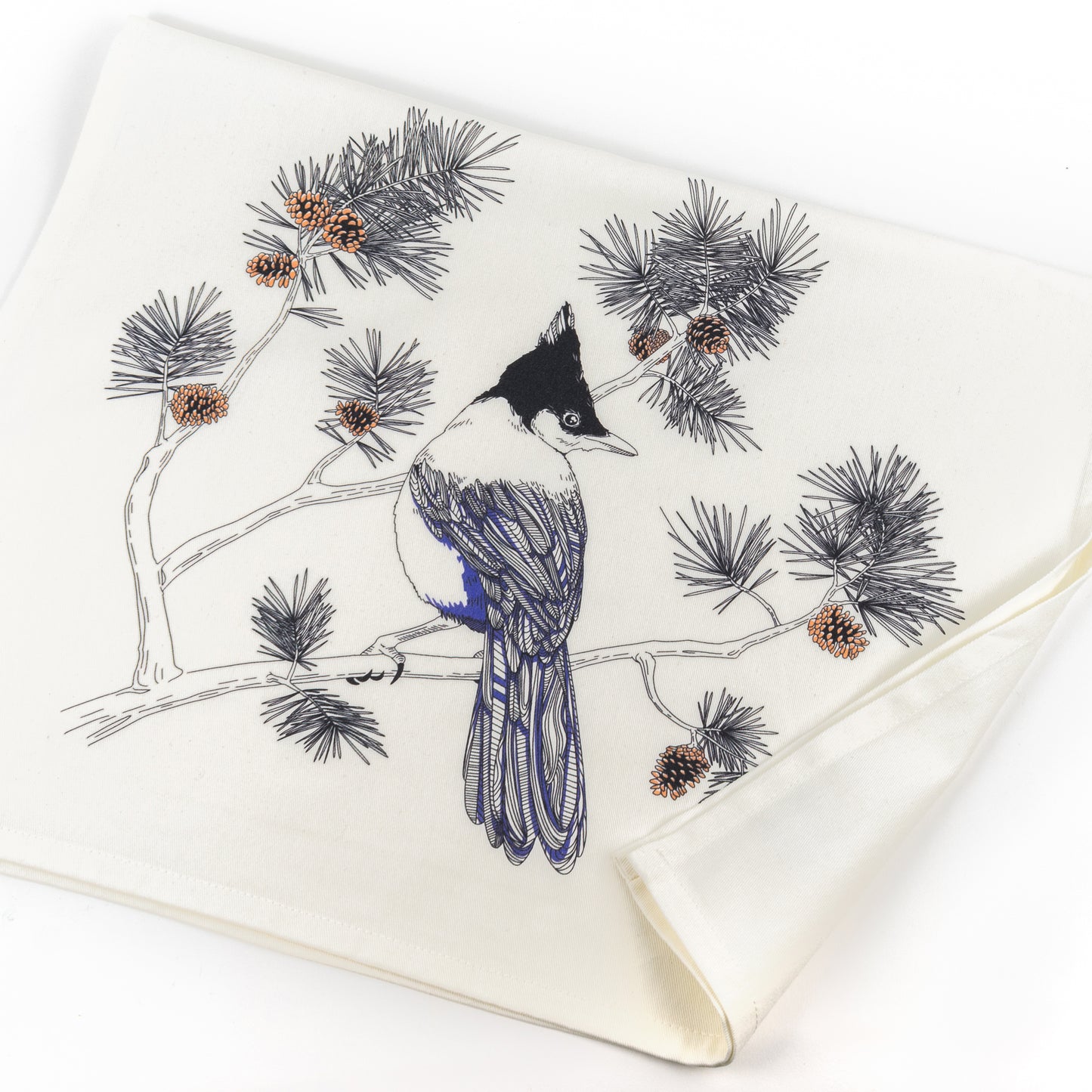 Tea Towel: Steller’s Jay
