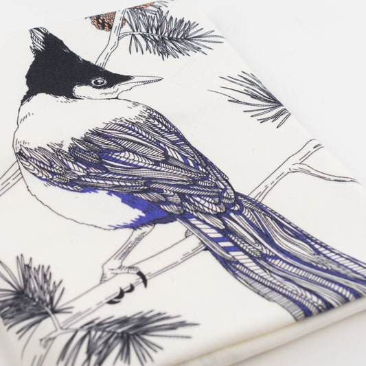 Tea Towel: Steller’s Jay